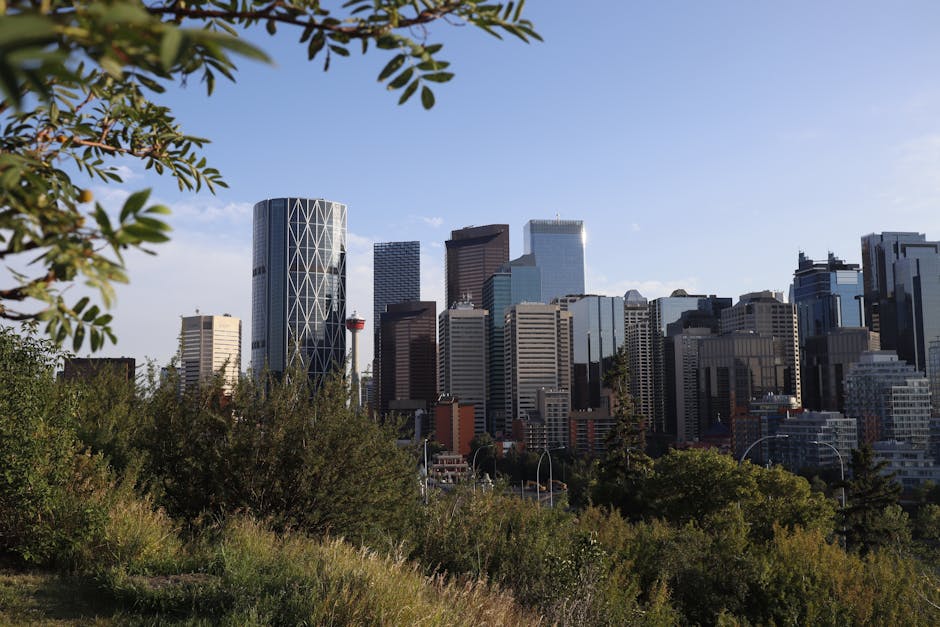 Calgary skyline with greenery and modern skyscrapers - online personal loans Alberta