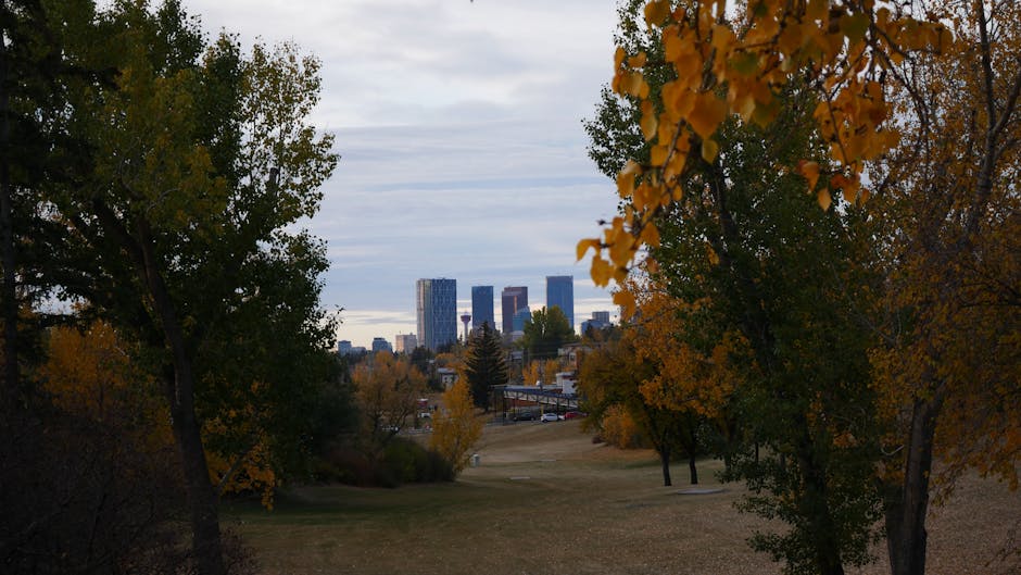 Calgary downtown skyline with fall foliage Alberta - online personal loans Alberta