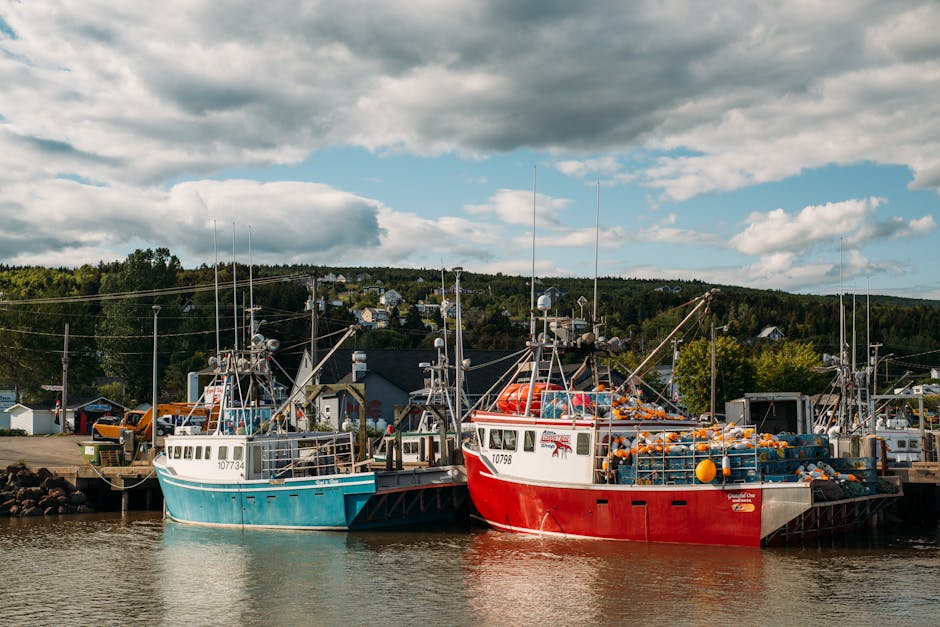 Fishing boats at a New Brunswick wharf - personal loans New Brunswick
