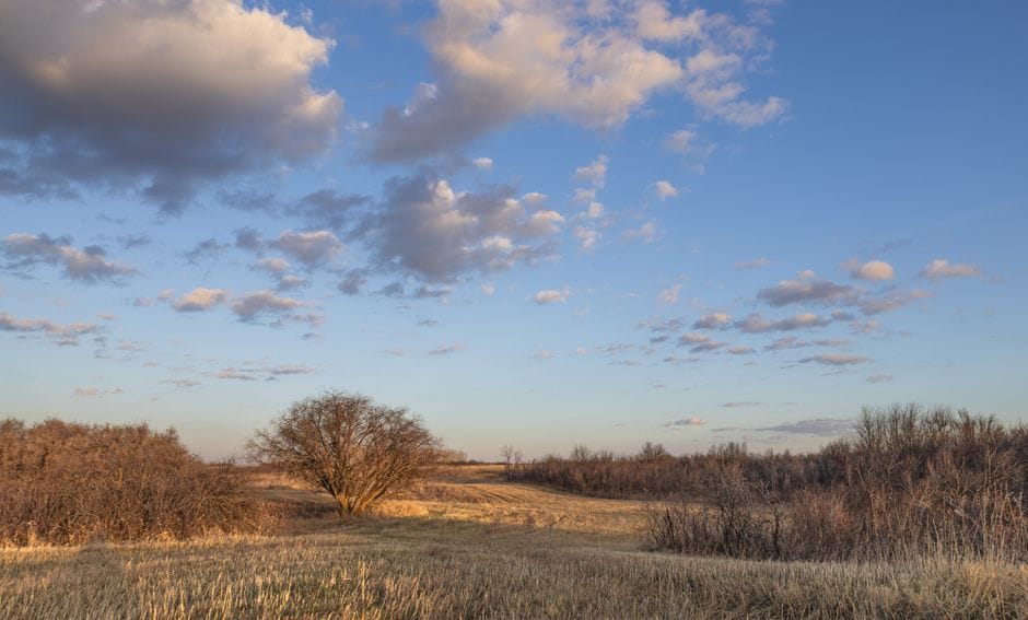 Saskatoon Saskatchewan prairie golden hour - online personal loans Saskatchewan