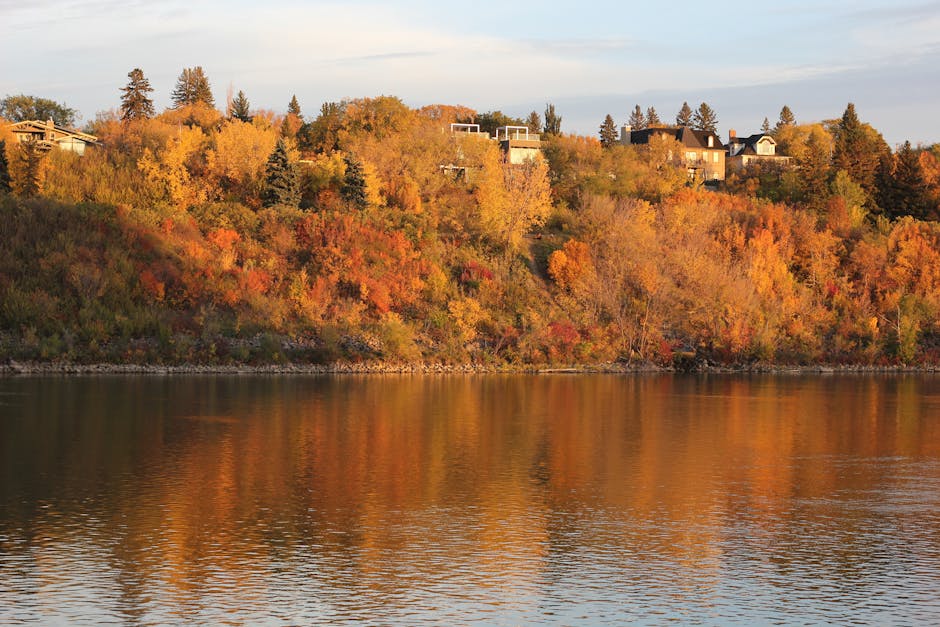 Saskatchewan River autumn foliage Canada