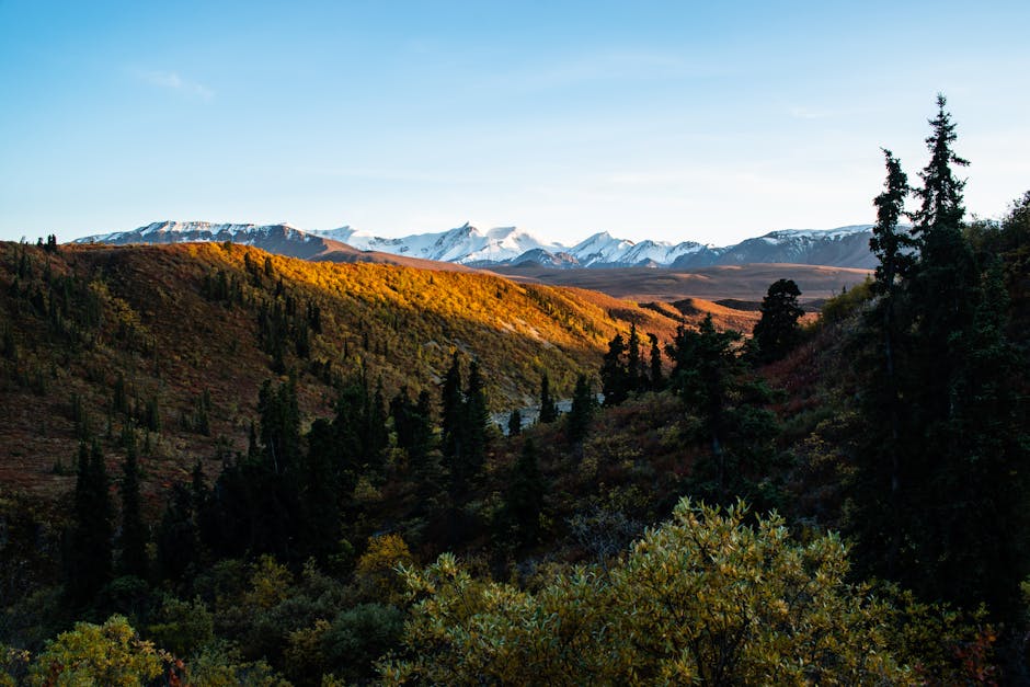 Golden autumn hills and snow-capped mountains in Yukon, Canada - personal loans Yukon